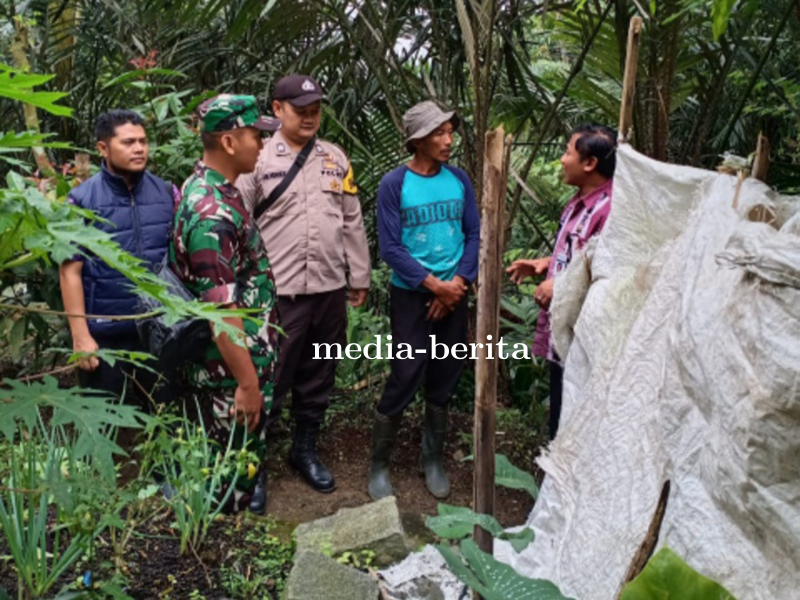 Babinsa Ikut Sukseskan Program Pemerintah